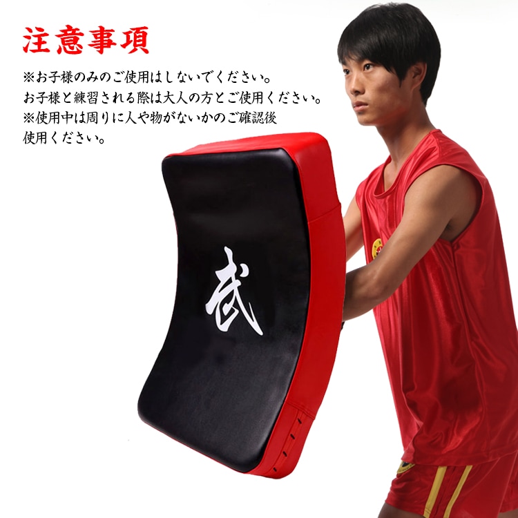 ビッグミット 打撃ミット 空手 キックボクシング 武道 総合格闘技 トレーニング ストレス解消 運動不足 初心者 上級者 de087 - 画像 (3)