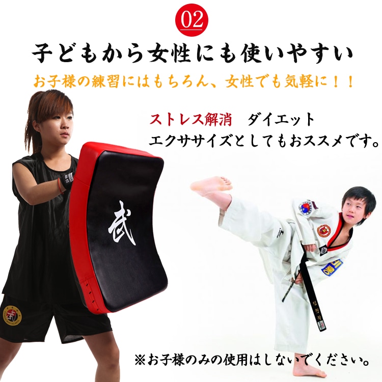 ビッグミット 打撃ミット 空手 キックボクシング 武道 総合格闘技 トレーニング ストレス解消 運動不足 初心者 上級者 de087 - 画像 (4)